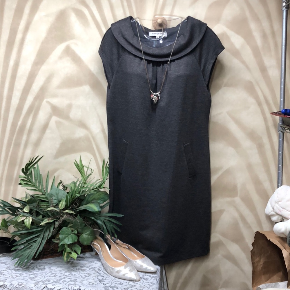 Evan-Picone‎ dress